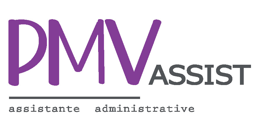 logo de la société PMV ASSIST